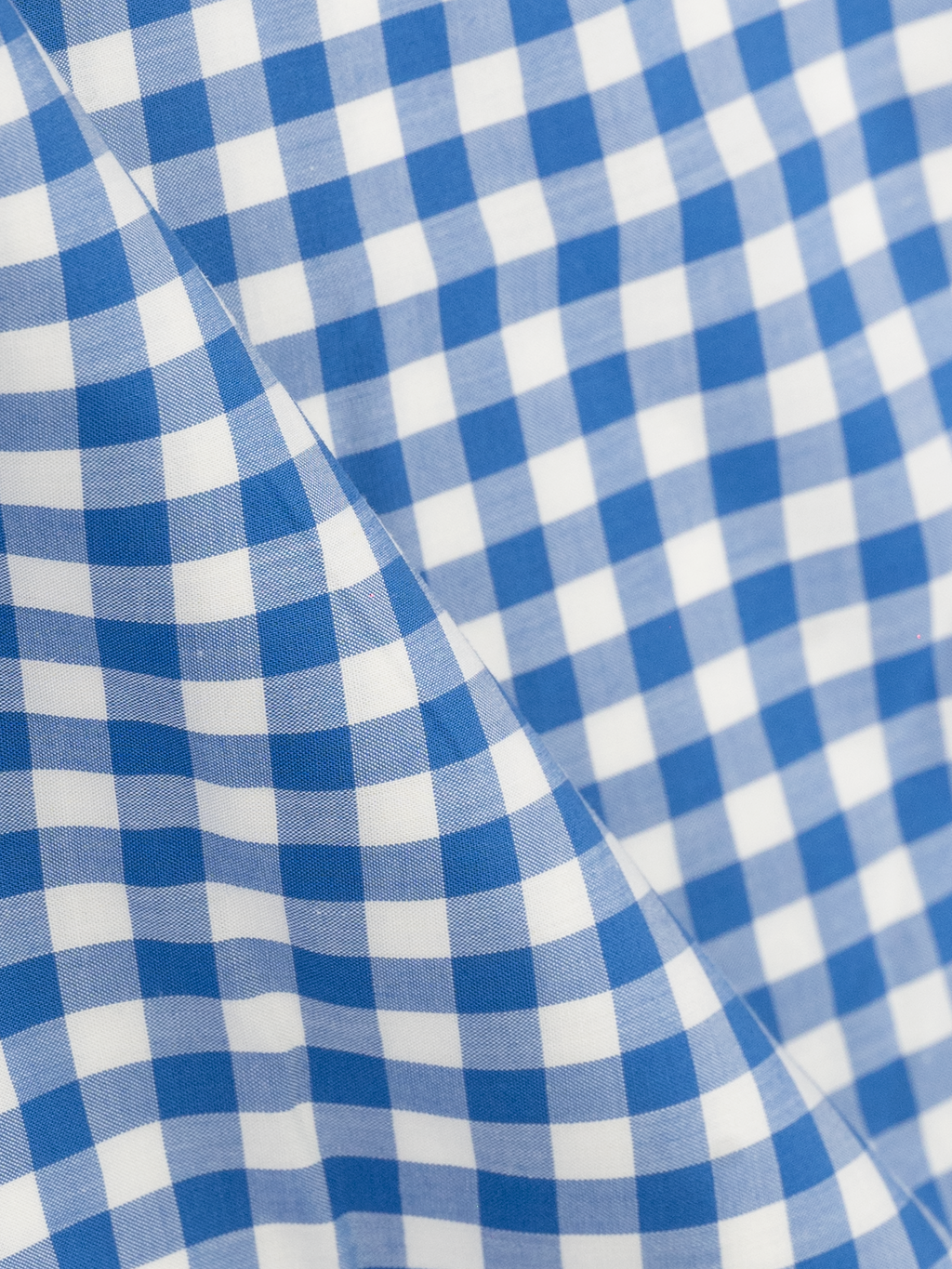 Blue Gingham