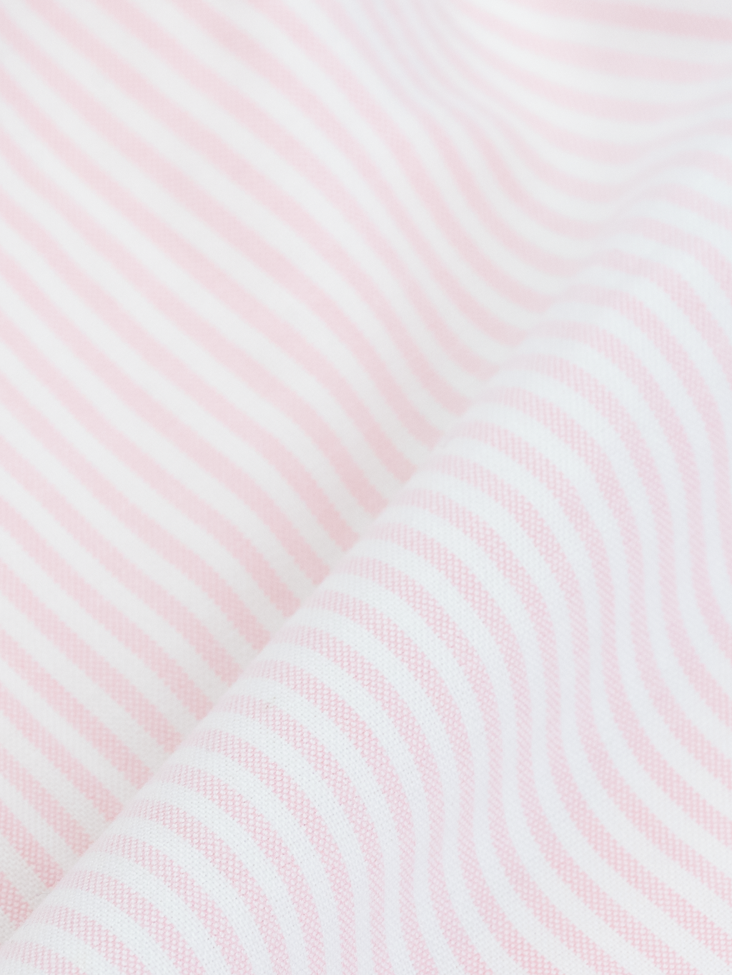 Light Pink University Stripe Oxford